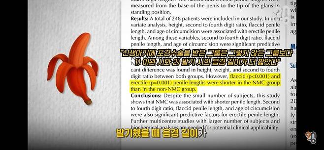 신생아 때 포경수술을 하면 작아진다