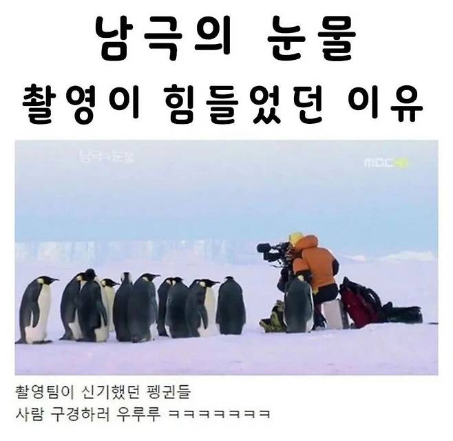 1.jpg 남극의 눈물 촬영이 힘들었던 이유.jpg