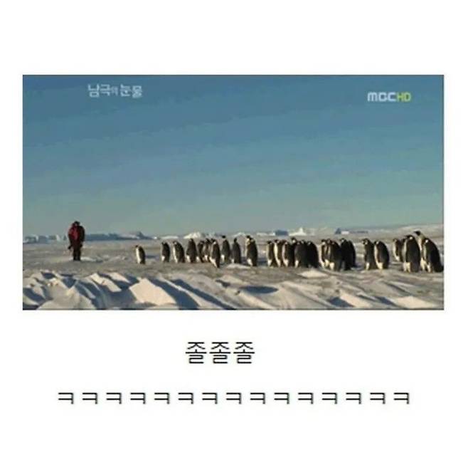 4.jpg 남극의 눈물 촬영이 힘들었던 이유.jpg