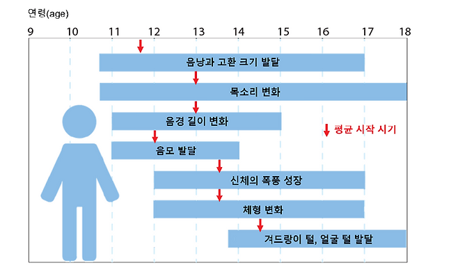 사춘기에 여드름이 왜 날까?...테스토스테론이 만든