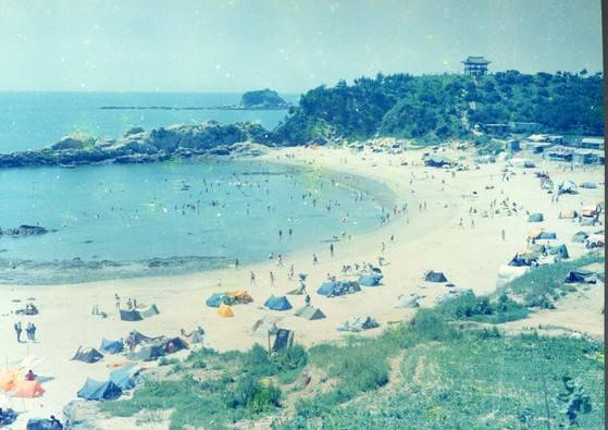 1979년까지 운영됐던 동백정해수욕장. 해수욕장 뒤편으로 멀리 동백정이 보인다. [사진 서천군]