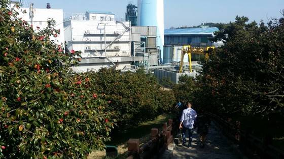 동백정 동백나무 군락 뒤로 서천화력발전소가 보인다. 김방현 기자