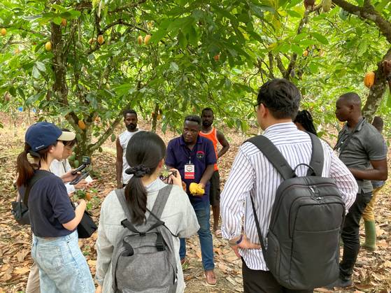 아프리카 가나 현지 농가에 방문해 카카오 농장을 점검하는 모습. 롯데웰푸드