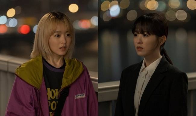 tvN 제공