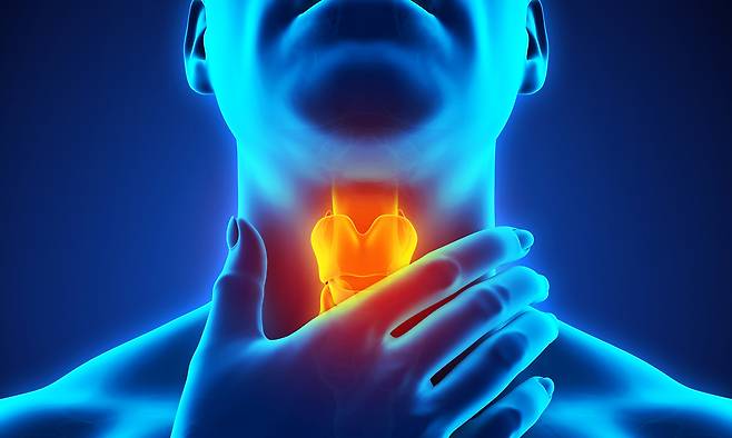 사진=게티이미지뱅크 제공