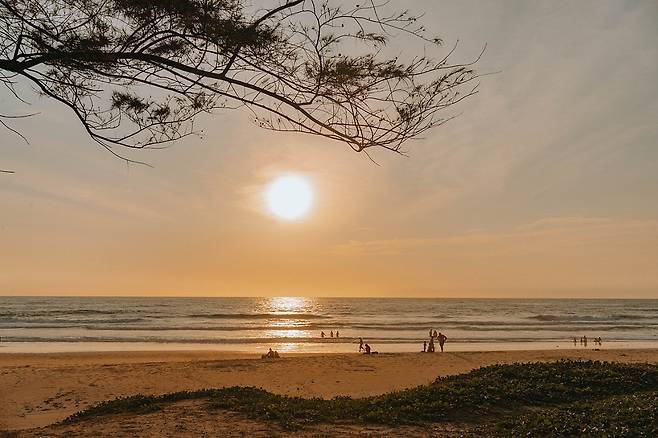 에메랄드비치 리조트