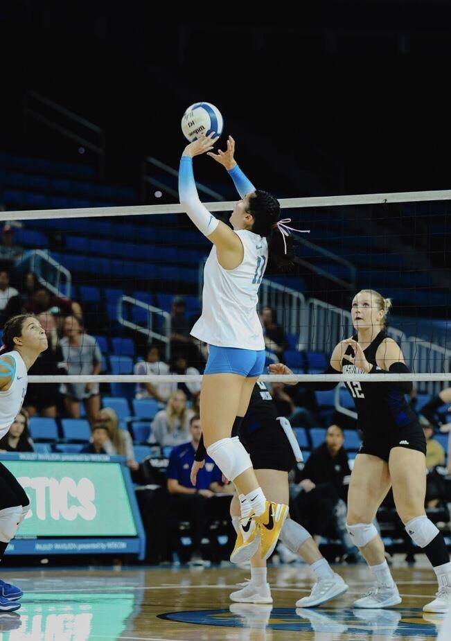 대학 선수 시절 토스하는 오드리 박 [오드리 박 제공. 재판매 및 DB 금지]