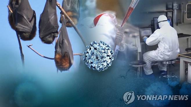 코로나19(CG) [연합뉴스TV 제공]