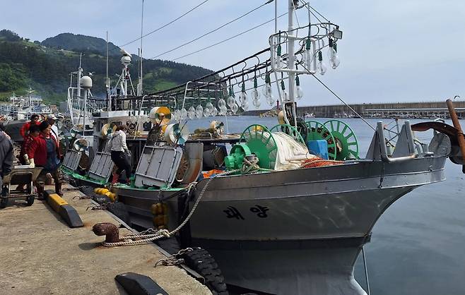 울릉수협소속 대양호가 오징어 하역하고 있다. /독자제공
