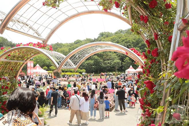 ‘2025 울산대공원 장미축제'의 마지막 날을 맞은 25일 오후 울산대공원 장미원에 나들이객으로 인산인해를 이뤘다. 2025.5.25/뉴스1 ⓒ News1 김세은 기자