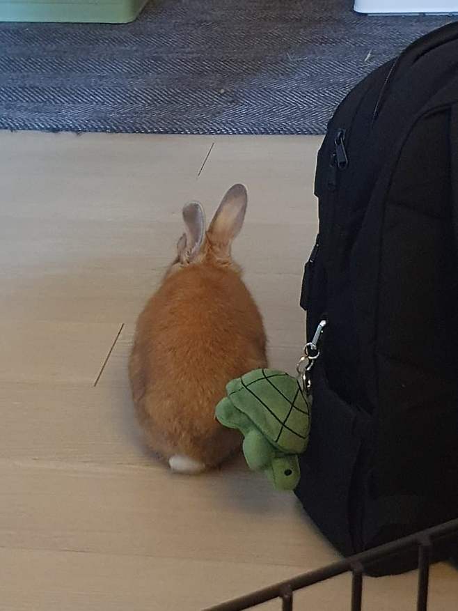 3fb8c32fffd711ab6fb8d38a4683746f7acb91c7895f59c27bf055042f76074cba9d84985ab807a5abd2b4a146