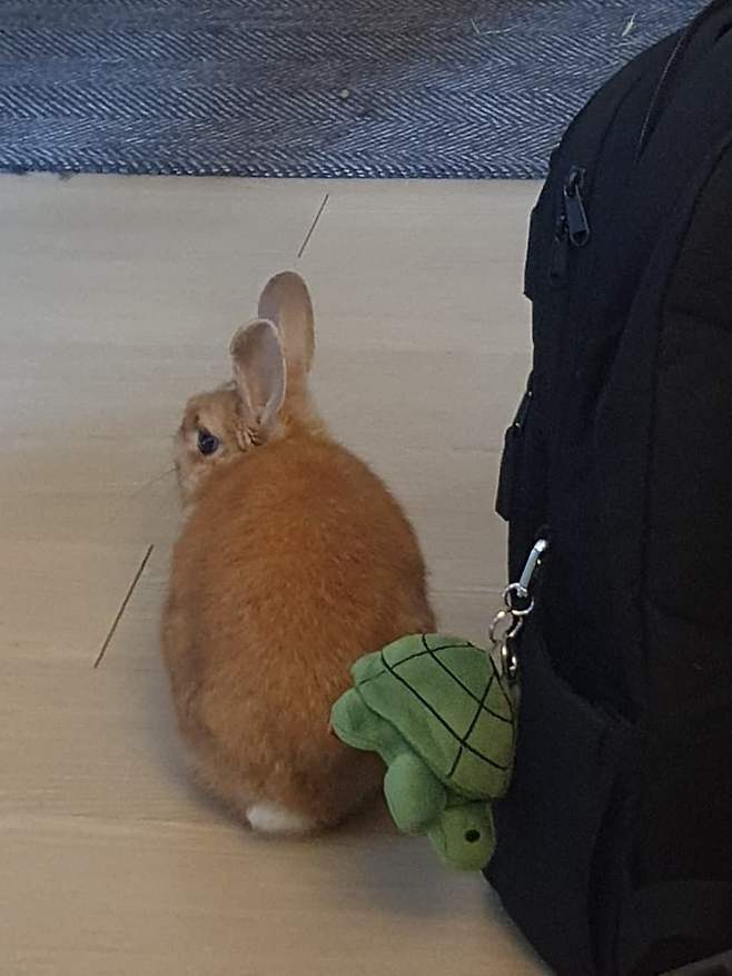 3fb8c32fffd711ab6fb8d38a4783746fa3f5d33cad41973bd5121ab04a090b9447ce61fcba32b8c242c1df1e7d