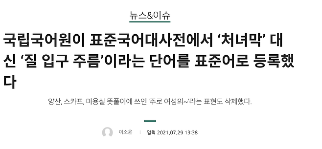 ‘질 입구 주름’