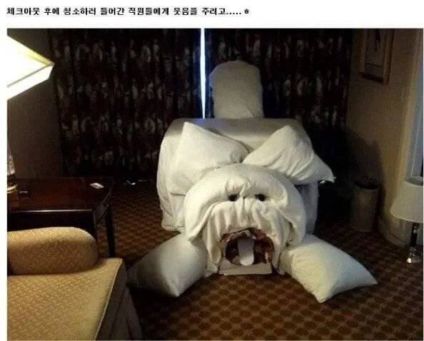해외 호텔 투숙객들의 장난.jpg