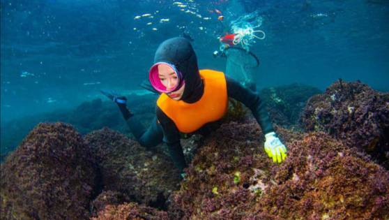 테왁 하나에 의지한 채 망망대해에서 소라를 찾는 송지효 모습. 사진 JTBC, BBC 스튜디오