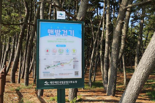 맨발걷기 코스 안내판 / 사진=한국관광공사