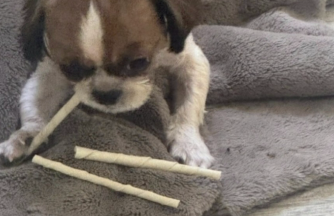 [사진 출처 = 온라인 커뮤니티]