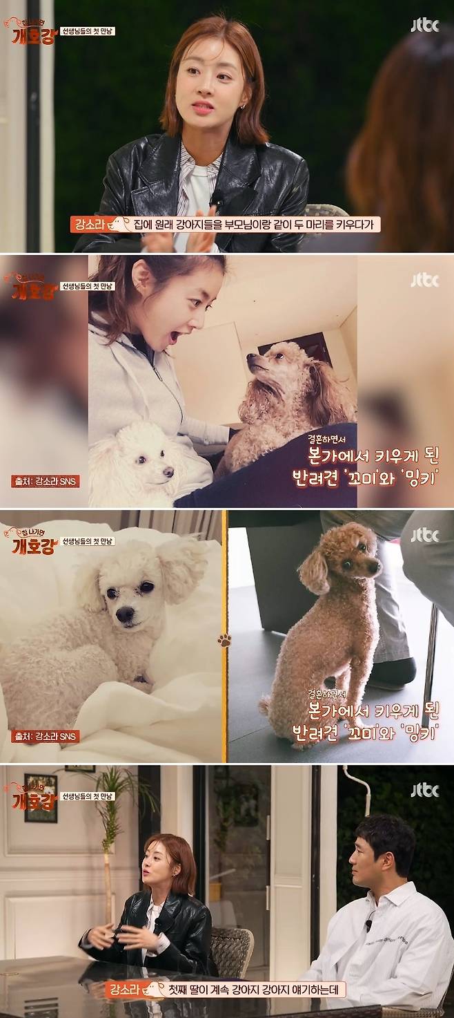 JTBC 새 예능 프로그램 ‘집 나가면 개호강’ 방송 캡처