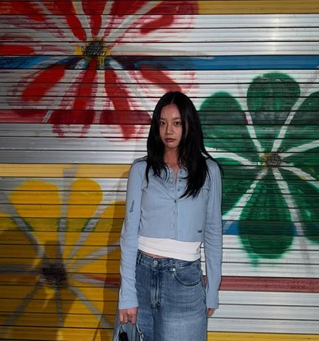 혜리 소셜 미디어