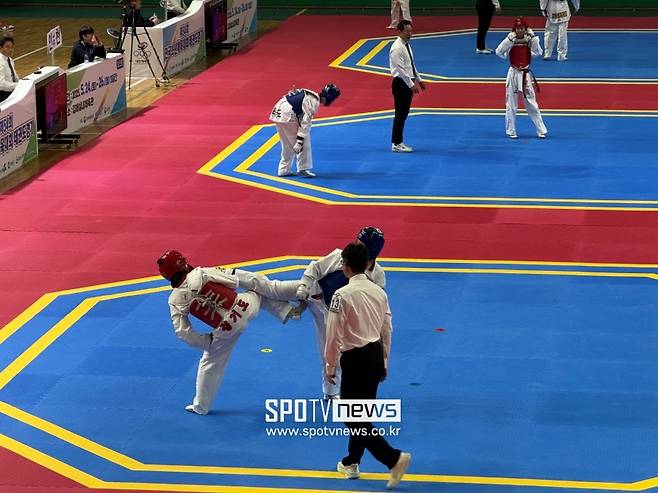 제54회 전국소년체육대회에서 선수들이 겨루기를 하고 있다.