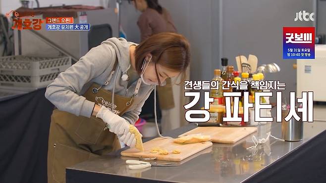 사진제공=JTBC 예능 ‘집 나가면 개호강’