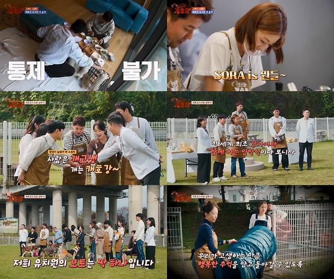 사진=JTBC