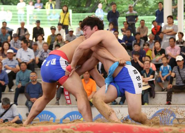 한국을 대표하는 전통민속문화축제인 중요무형문화재 제44호 '2025 경산자인단오제'가 30일부터 6월1일까지 3일간 열린다. 사진은 단오 씨름대회 모습