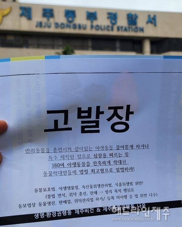 제주 동물단체가 야생동물 무차별적 학대.불법 포획 사건과 관련해 고발장을 제출했다 (사진=제주비건)