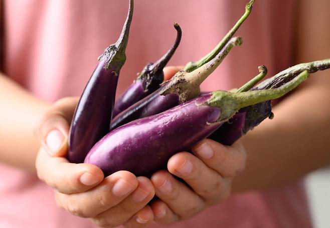 가지가 보라색을 내는 것은 안토시아닌 성분 때문이다. 항산화 효과가 큰 플라보노이드계 색소다. 몸속에서 지방과 콜레스테롤을 억제하여 혈액-혈관 건강에 도움을 준다. [사진 = 게티이미지뱅크]
