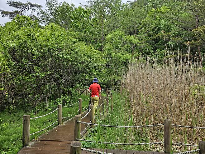 ◇물무리골생태공원은 물무리골 생태습지에 조성된 곳이다. 멸종위기의 희귀동식물이 살고 있는 생태계의 보고다. 사진제공=지엔씨21