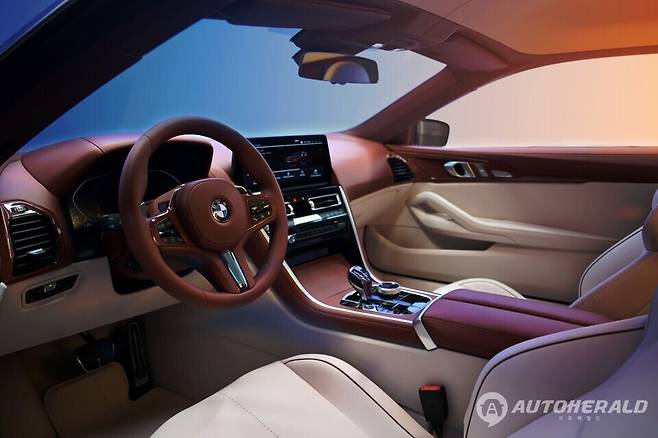 BMW 콘셉트 스피드탑(BMW Concept Speedtop). (BMW)