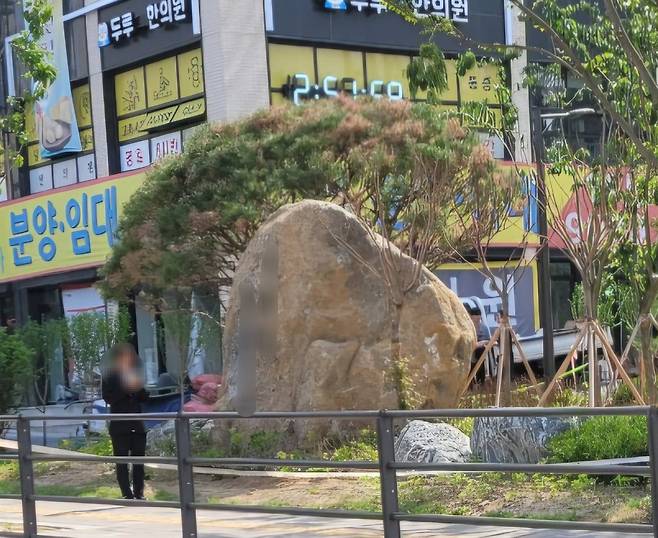 서울 동대문구 이문동 한 신축 아파트 단지에 설치된 거대한 조경석. /SNS 캡처