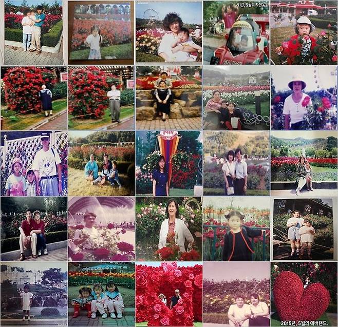 에버랜드 장미축제 40주년 추억사진 공모전에 응모된 사진 모음ⓒ삼성물산