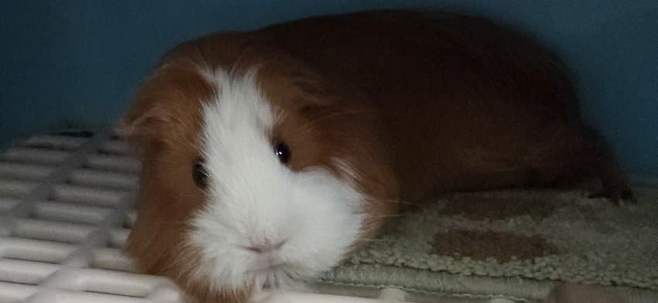 7fed8273b5876af051ef8ee547857d73b8ca75be46e8cce52d007da91a2a1b79