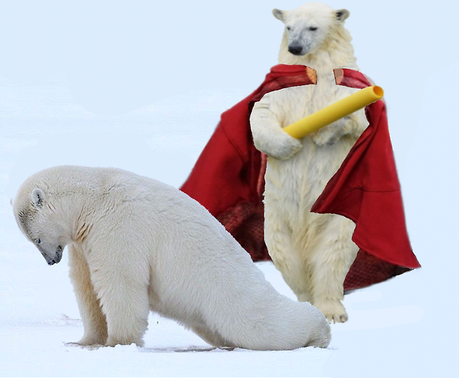 XXX : 알등이 관리 안해?