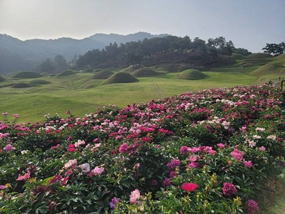 5월의 성주 성산동 고분군 언덕 풍경 [사진=성주군]