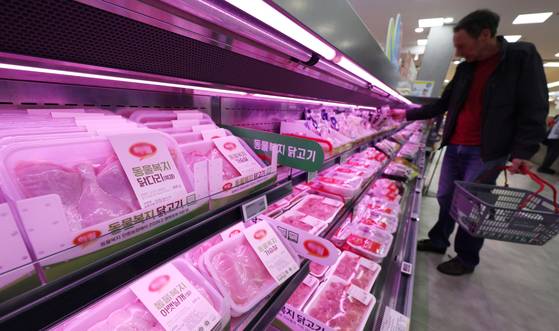 브라질산 닭고기 수입 중단이 이어지는 가운데 25일 서울 시내의 한 대형마트를 찾은 시민이 닭고기를 고르고 있다. [뉴시스]