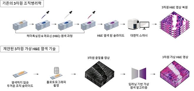 기존 3차원 조직 병리학 절차와 KAIST가 제안한 3차원 가상 H&E 염색 기술의 비교. 기존 방식은 수십 장의 조직 슬라이드 제작 및 염색이 필요하지만, 제안된 기술은 최대 10배까지 슬라이드 수를 줄이고 염색 과정 없이 빠르게 H&E 영상을 생성할 수 있다. KAIST