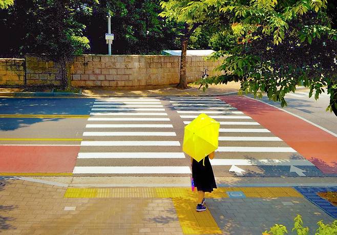 한 행인이 양산을 쓴 채로 횡단보도 앞 나무 그늘에 서 있습니다. 낮에는 제법 볕이 따가운 것이 자꾸 그늘을 찾게 되네요.  이충우 기자