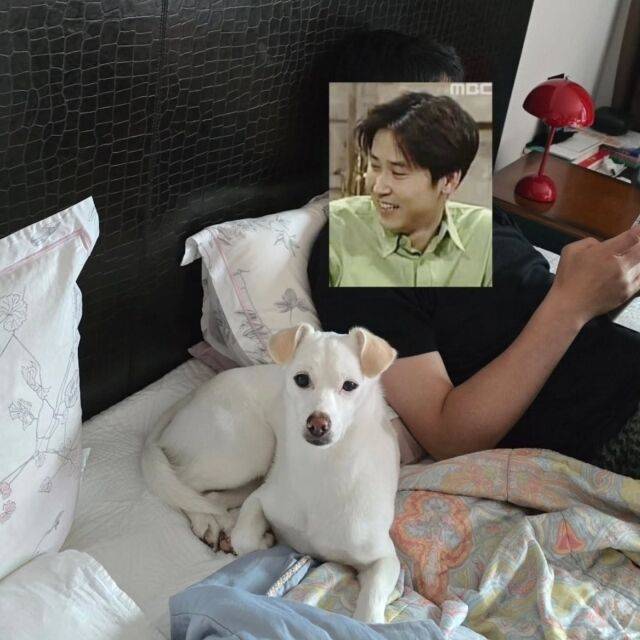 / 신동엽 반려견 크림이 계정