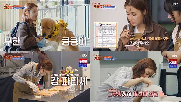 JTBC 새 예능 ‘집 나가면 개호강’