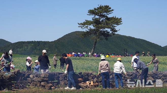[서귀포=뉴시스] 우장호 기자 = 맑은 날씨를 보인 4일 오후 제주 서귀포시 표선면 보롬왓 농장에서 열린 '파릇파릇 대파축제'에서 입장객들이 대파 구워 먹기 체험을 하며 즐거운 시간을 보내고 있다. 2025.05.04. woo1223@newsis.com