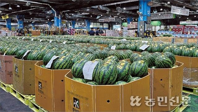 2024년 7월 서울 가락시장에 출하된 수박. 전량 옥타곤 상자에 담긴 채 팰릿으로 출하됐다.