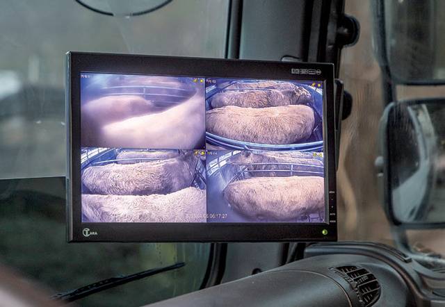 운송 중 운전석에서 소들의 상태를 볼 수 있게 폐쇄회로텔레비전(CCTV)을 달아놨다.