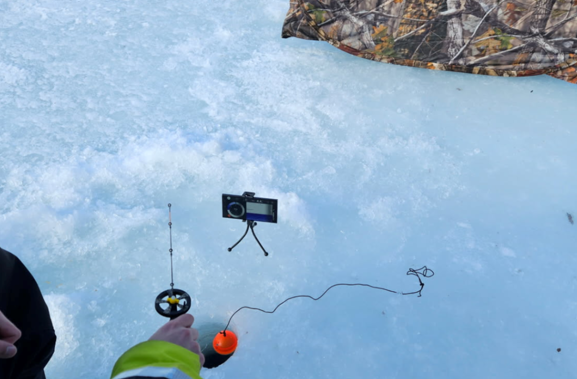 사진 제공=삼성전자