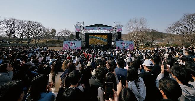 또봄면천축제 지역경제 효과 38억원 [당진문화재단 제공. 재판매 및 DB 금지]