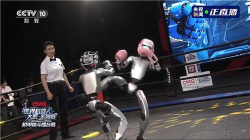 발차기 공격하는 휴머노이드 [CCTV 캡처. 재판매 및 DB 금지]