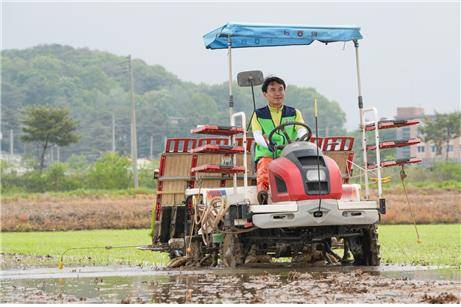 이앙기 운전하는 김진태 지사 [강원도 제공.재판매 및 DB 금지]