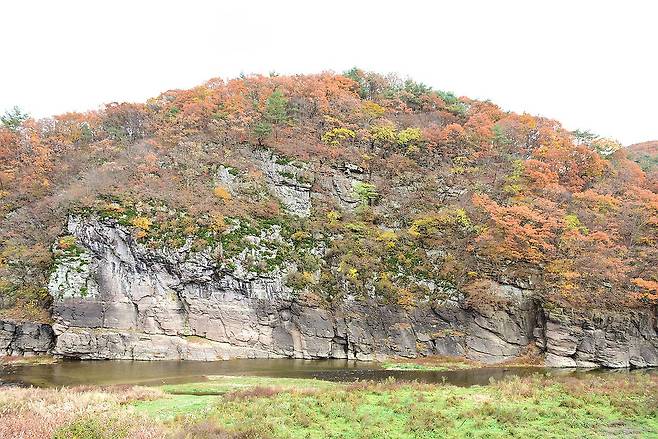 반구천 암각화, 세계유산 등재 유력 (서울=연합뉴스) 국제기념물유적협의회는 우리 정부가 세계유산으로 등재 신청한 반구천 암각화에 대해 '등재' 권고 판단을 내렸다고 26일 밝혔다. 등재 여부는 7월 프랑스 파리에서 열리는 제47차 세계유산위원회에서 결정된다. 사진은 국보 '울주 대곡리 반구대 암각화' 전경. 2025.5.26 [국가유산청 제공. 재판매 및 DB 금지] photo@yna.co.kr