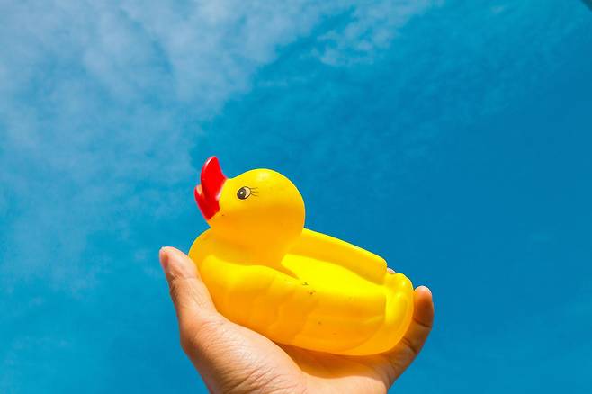 목욕 오리를 손에 들고있는 모습